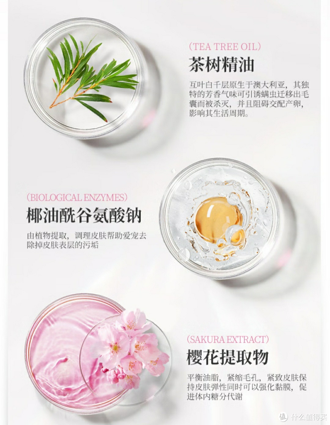 呵护宠物,从选择一款好的沐浴露开始——KOJIMA猫咪狗狗沐浴露