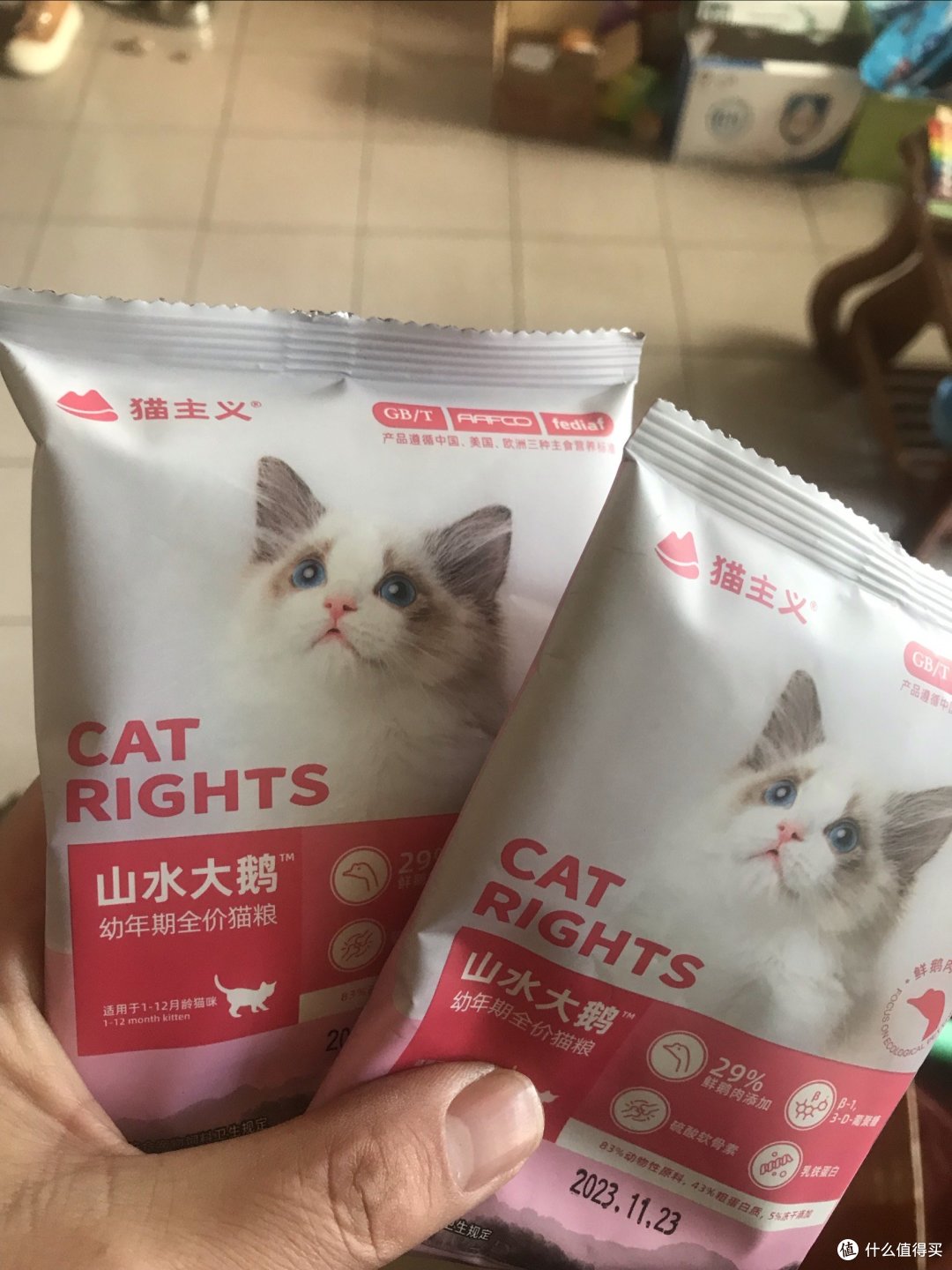 小猫咪就要吃自己的猫粮