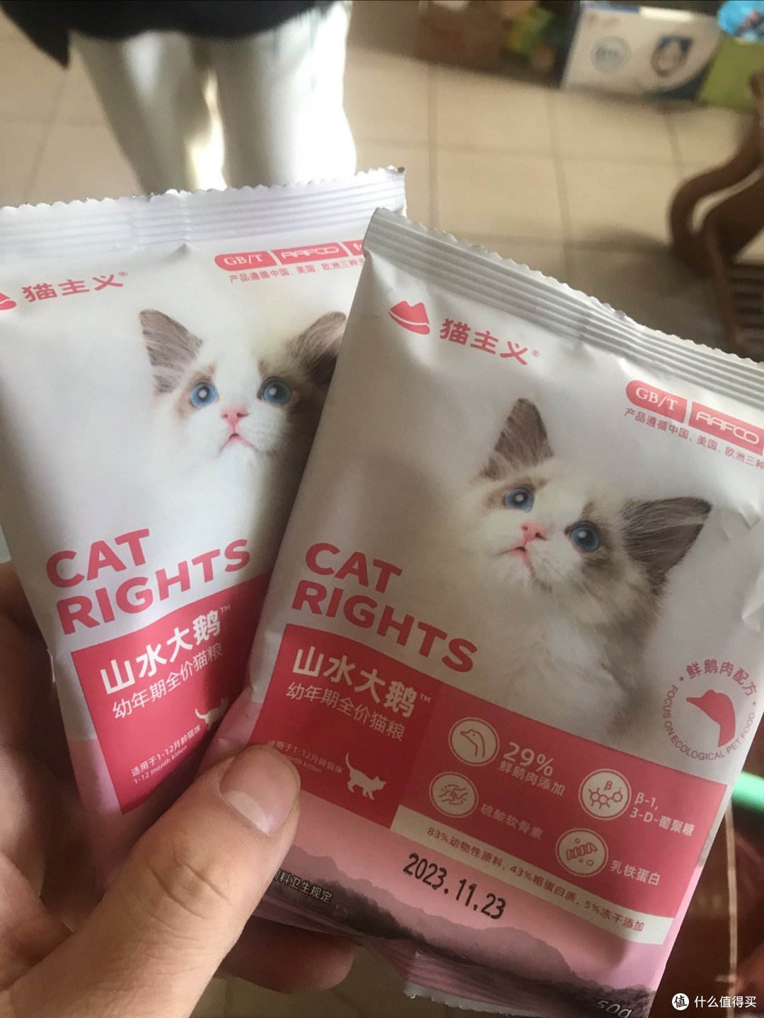 小猫咪就要吃自己的猫粮