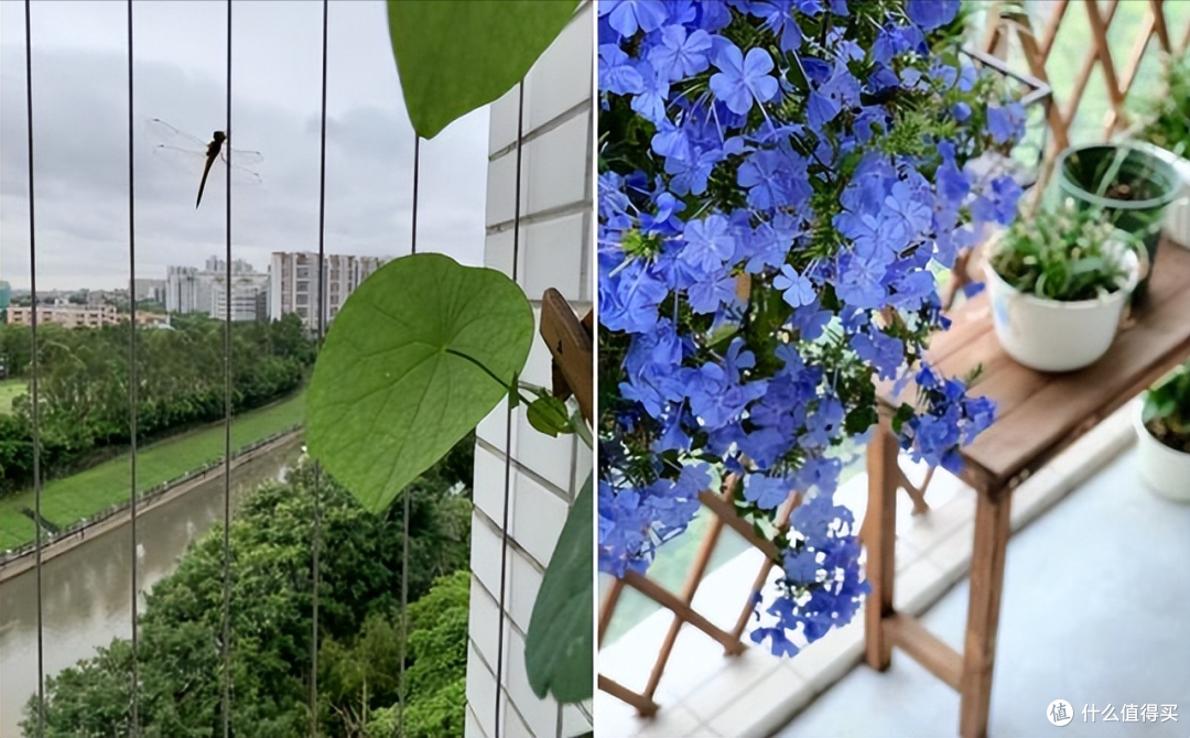 天津一47岁中年夫妇,屋内不装电视、沙发,那叫一个高级,晒晒