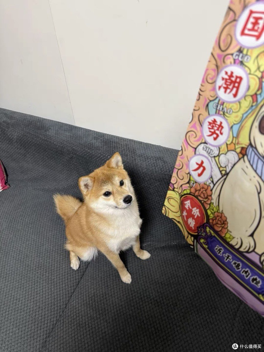 它福狗狗主食冻干生骨肉粒犬粮是一款全价无谷鸡肉低敏配方的犬粮