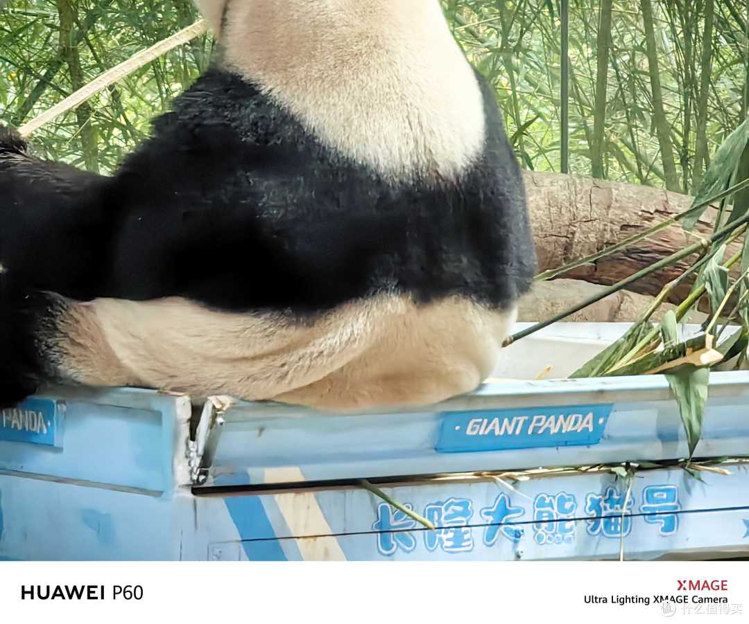 Mate60抢不到?华为P60要不了解一下?我来谈一下鸿蒙的使用感受~