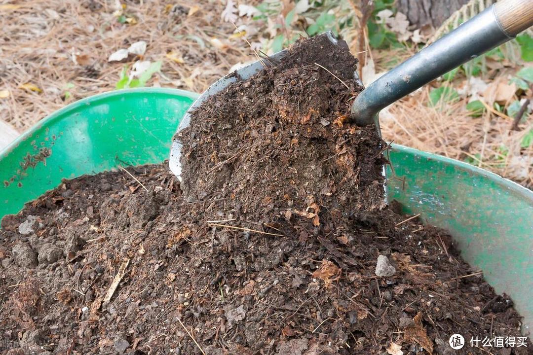 10“垃圾”肥效高，养花埋土里，养啥都“爆盆”