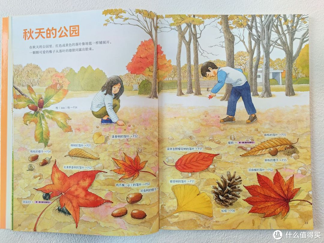 原来大自然给我们提供了这么多游戏道具,真的太好玩了!