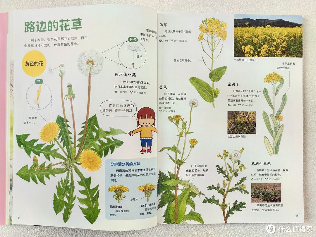 原来大自然给我们提供了这么多游戏道具,真的太好玩了!