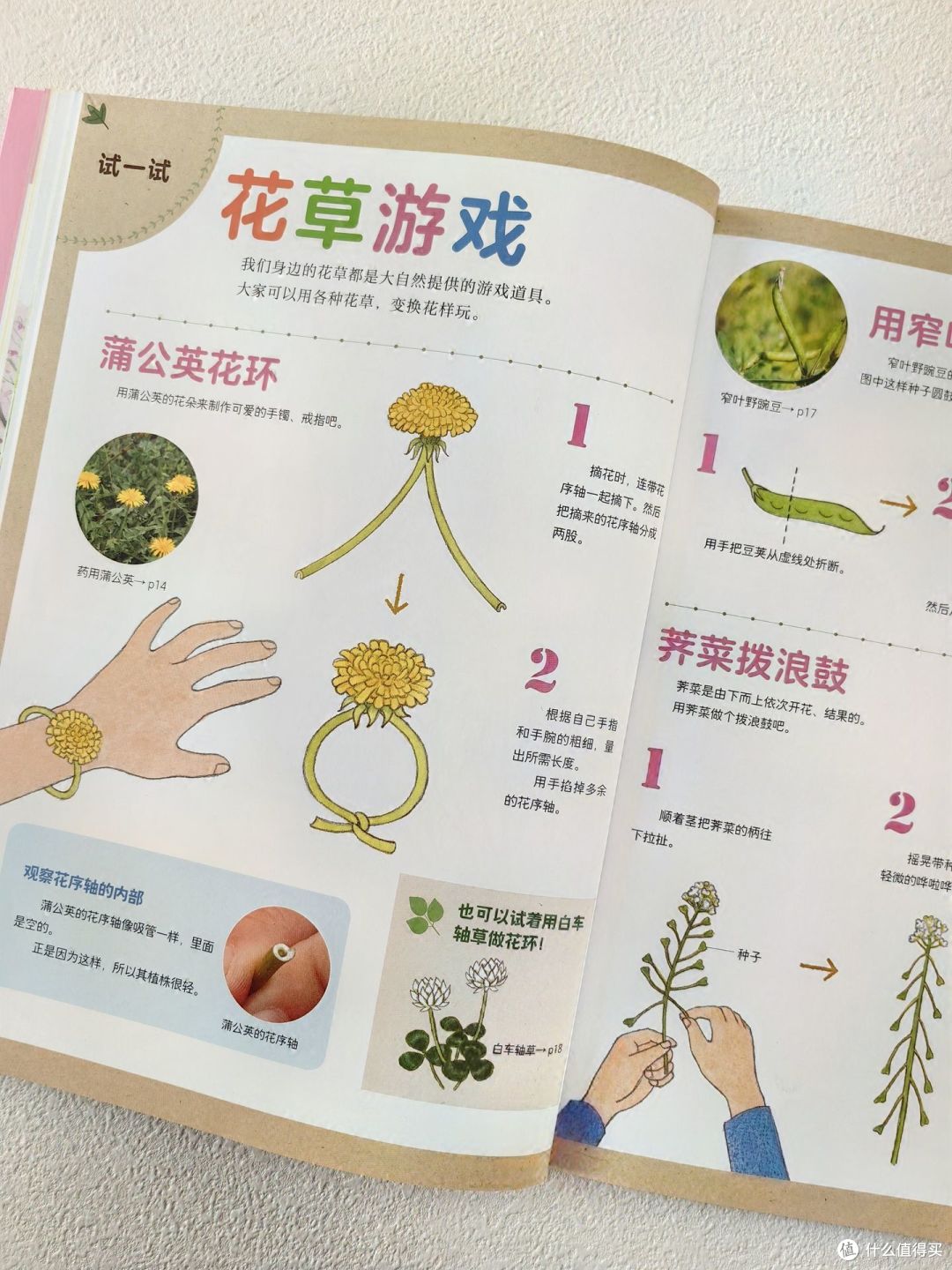 原来大自然给我们提供了这么多游戏道具,真的太好玩了!
