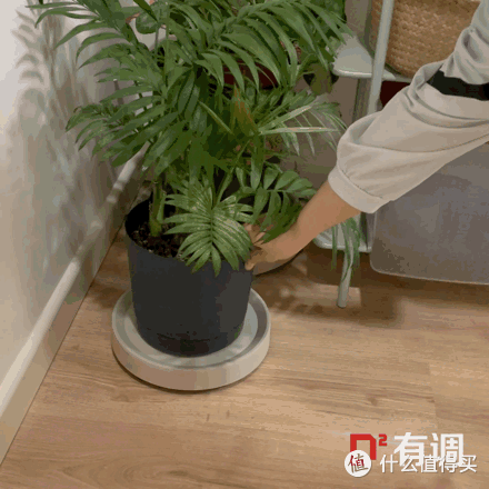 价值2w旗舰级洗地机大PK，是真省力还是智商税？