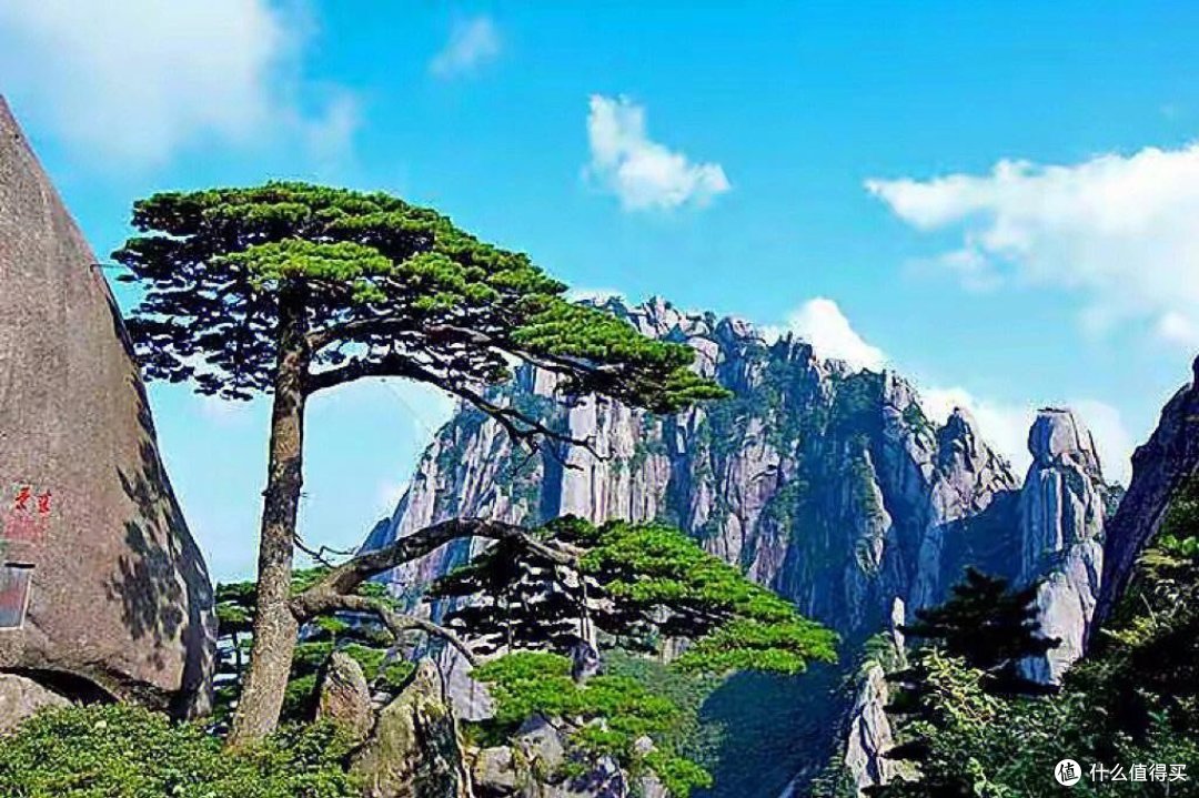 晨雾笼罩的美丽小镇" - 简洁明了的标题,突出了晨雾笼罩下的小镇的美丽景象。