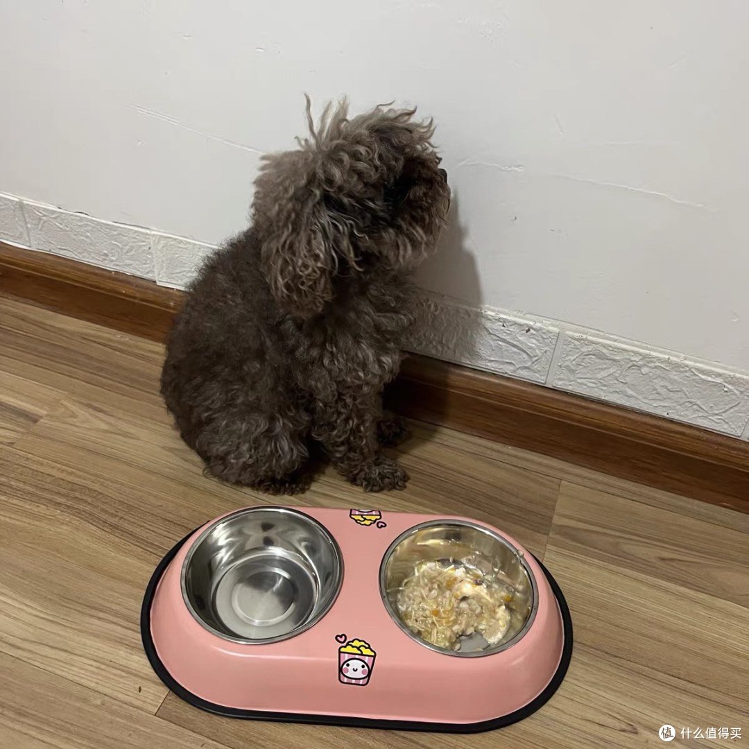 狗🐶