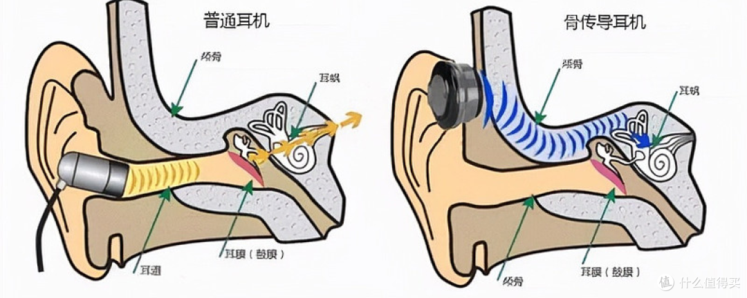 我们为什么要买骨传导耳机?它适合什么人什么场景