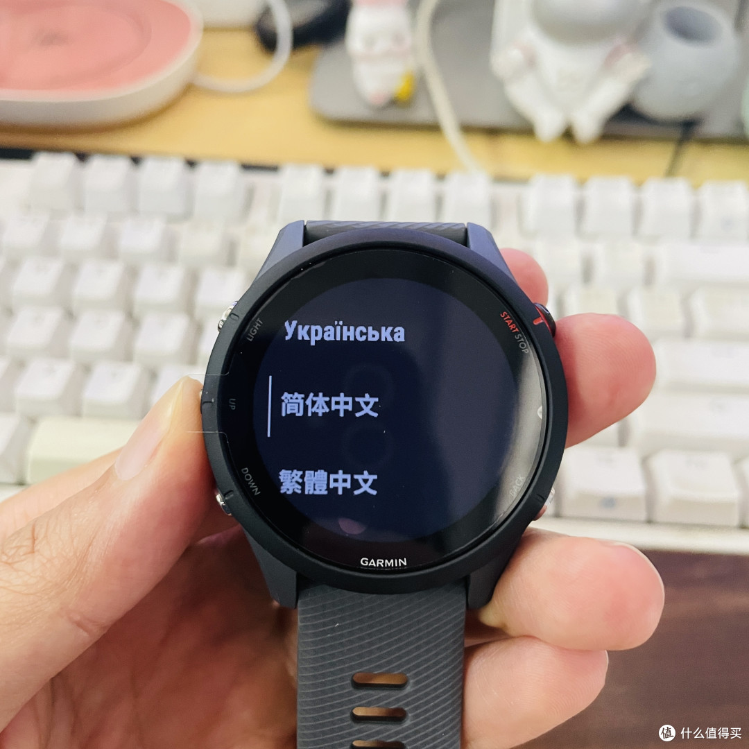有中文选项