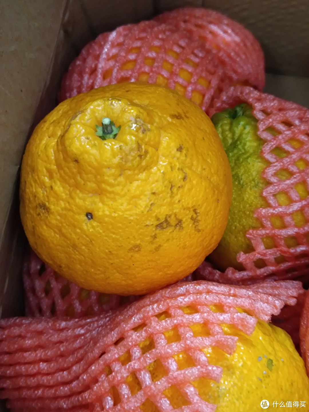 网购粑粑柑还是网购丑橘好吃？我觉得应该选粑粑柑。