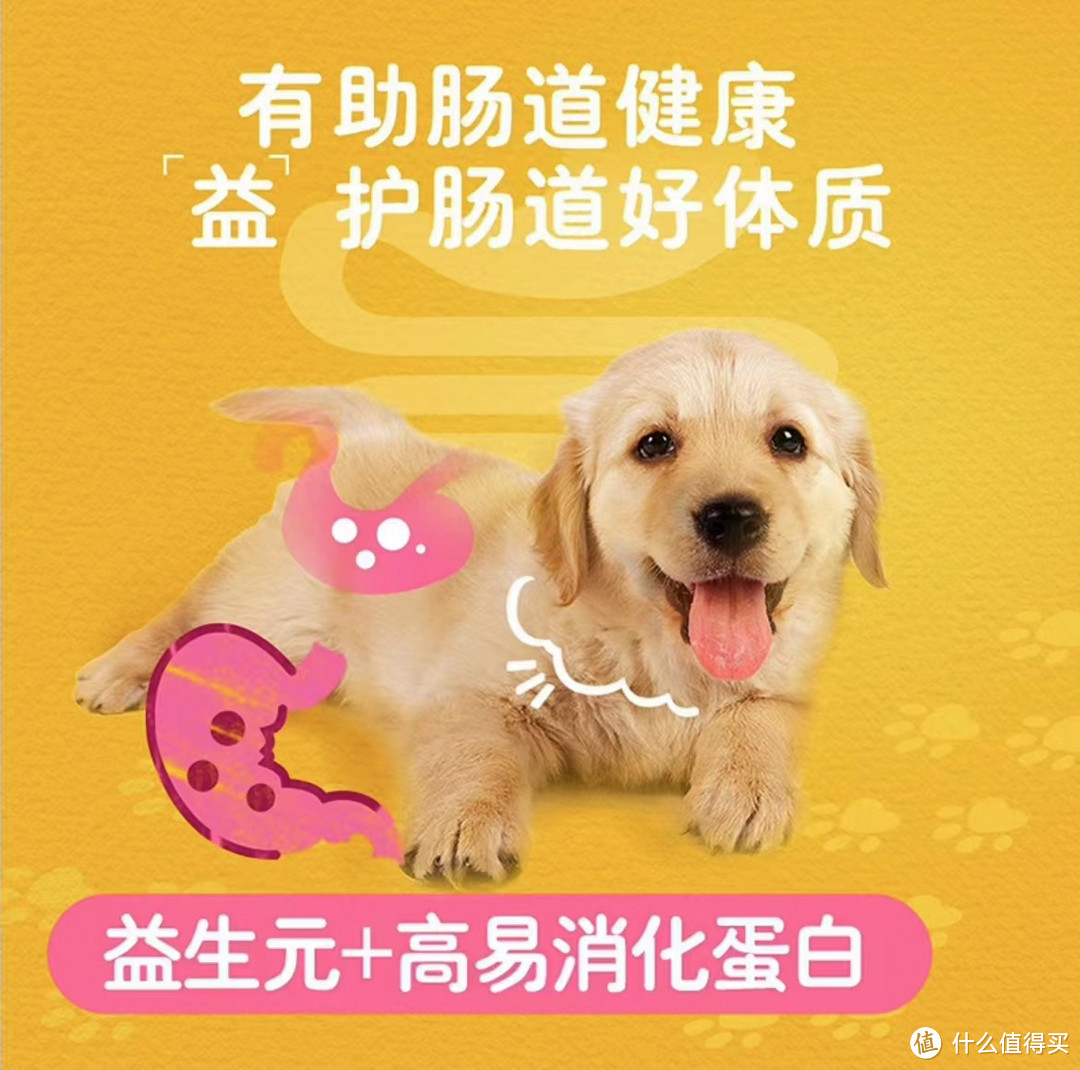 宝路宠物幼犬狗粮，全面呵护幼犬成长