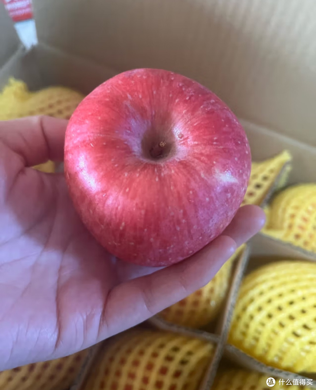 舌尖上的苹果：口感不同，但都是美味之选