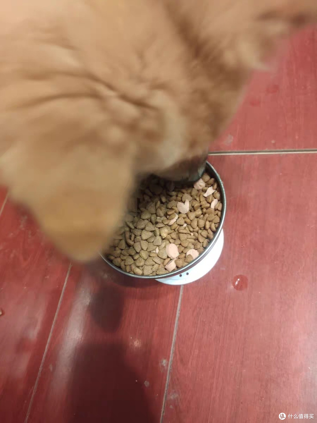 力狼狗狗火腿肠是一种优质的宠物零食,适合作为训练奖励和日常零食。
