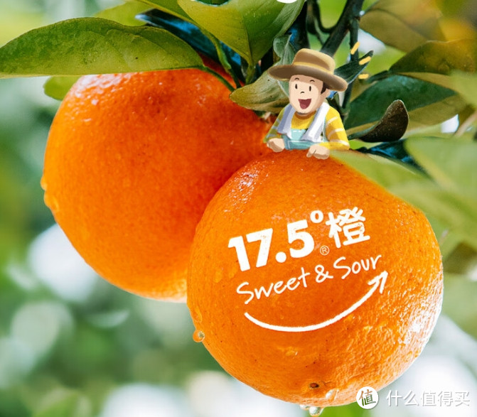 寒潮来袭，天气干燥，销量高、评价好的爆款橙子吃起来！