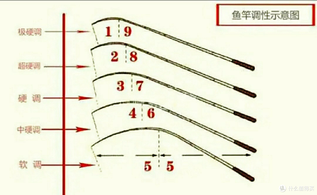 国货钓鱼王VS汉鼎，专业钓大物碳纤维钓鱼竿性价比无敌，该怎么选，看这里！