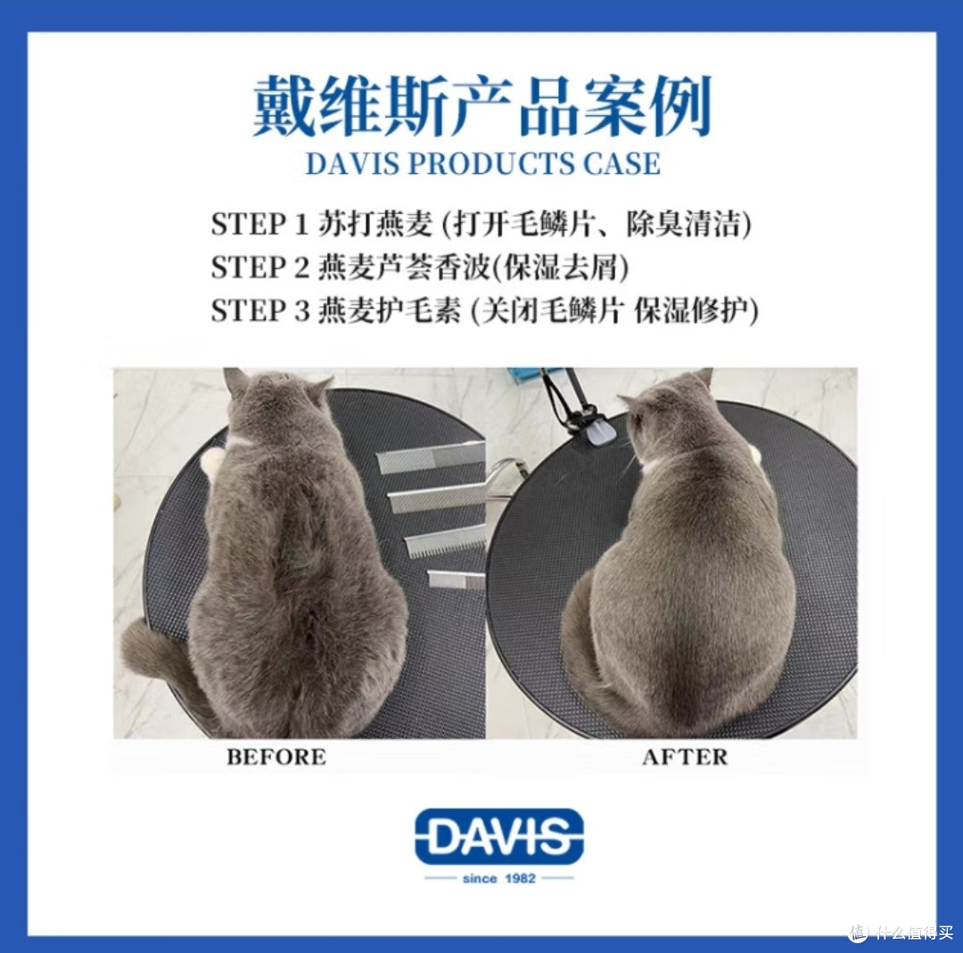 给狗狗洗一个香香的澡吧