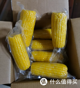 入冬后，这几种食物是营养师强烈推荐的养生食材!