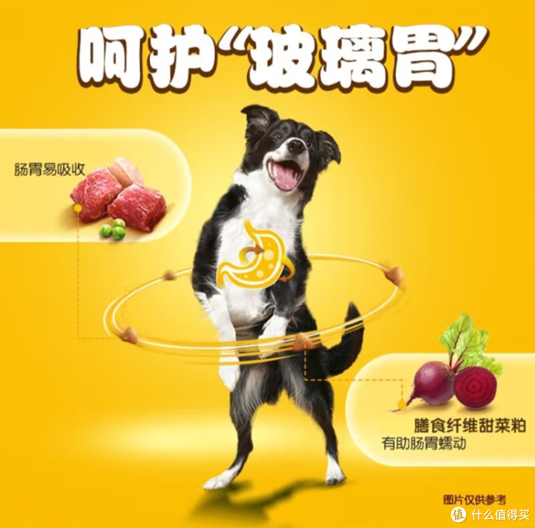 美味又营养，宝路狗粮陪你宠溺爱犬！