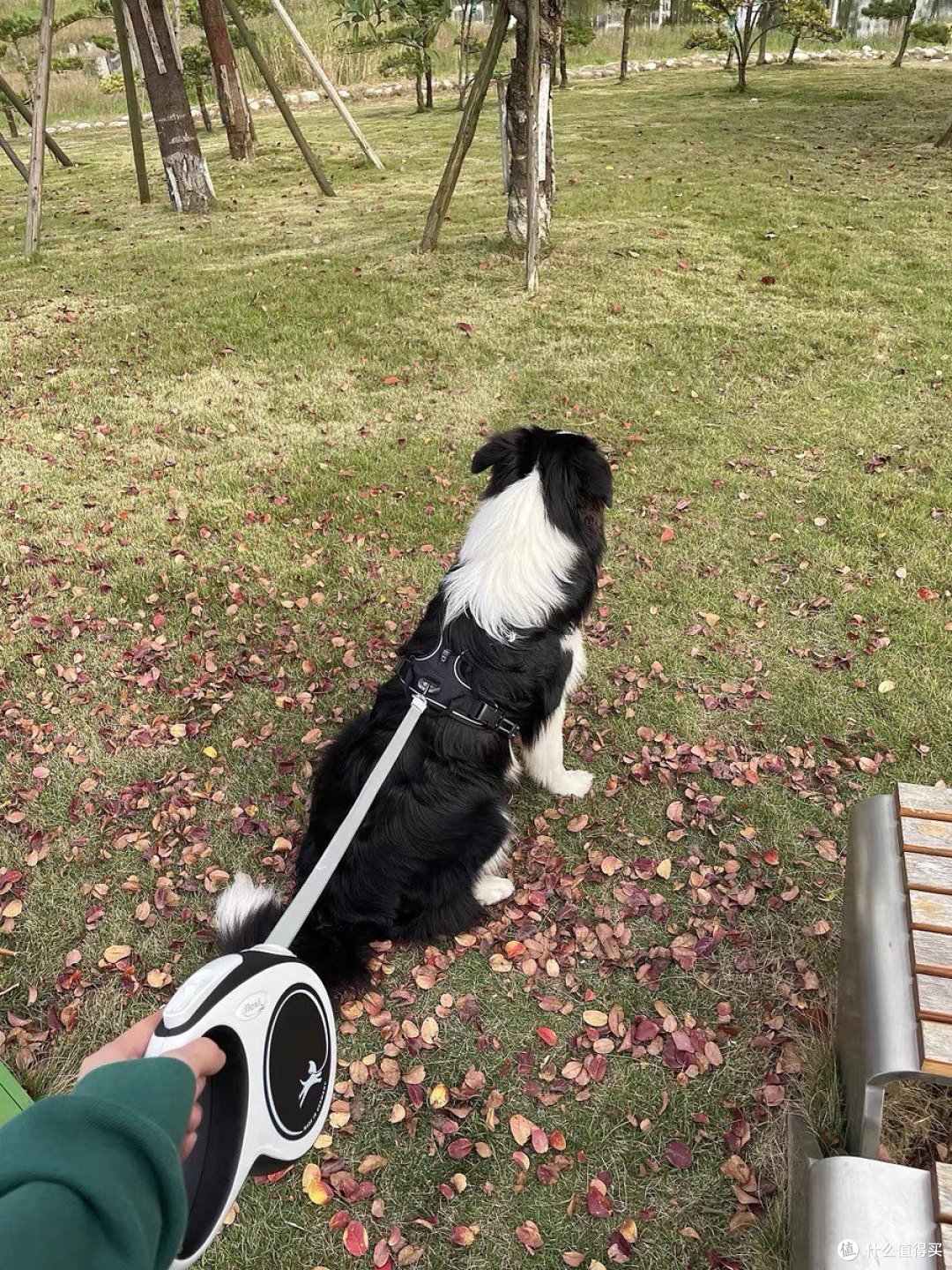 truelove狗狗胸背