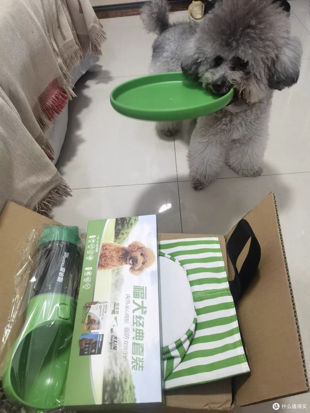 养狗笔记