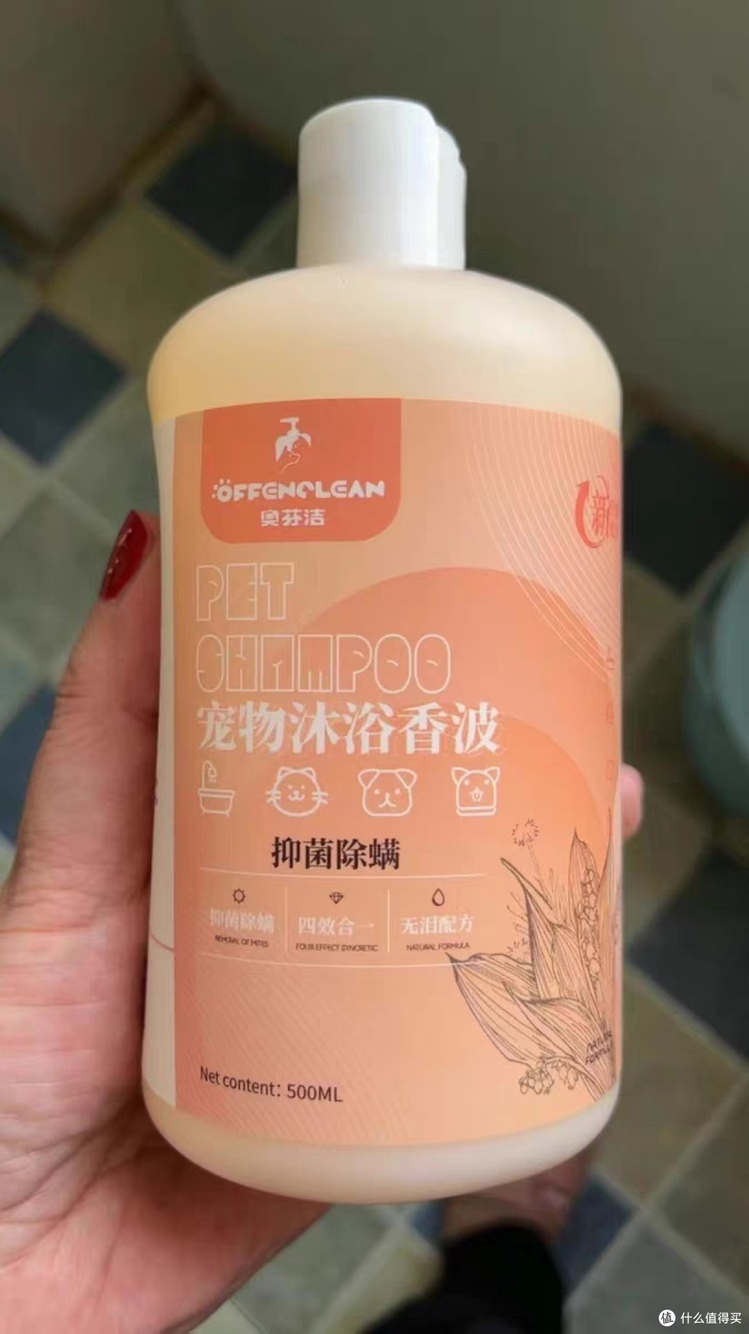 养狗笔记