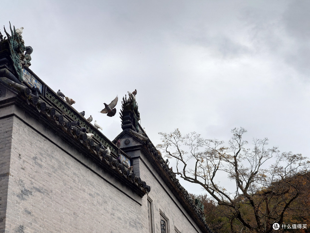 起与落