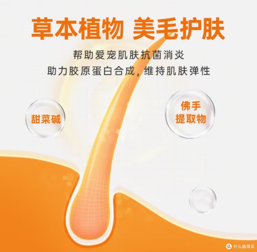 让狗狗每天都保持香香的