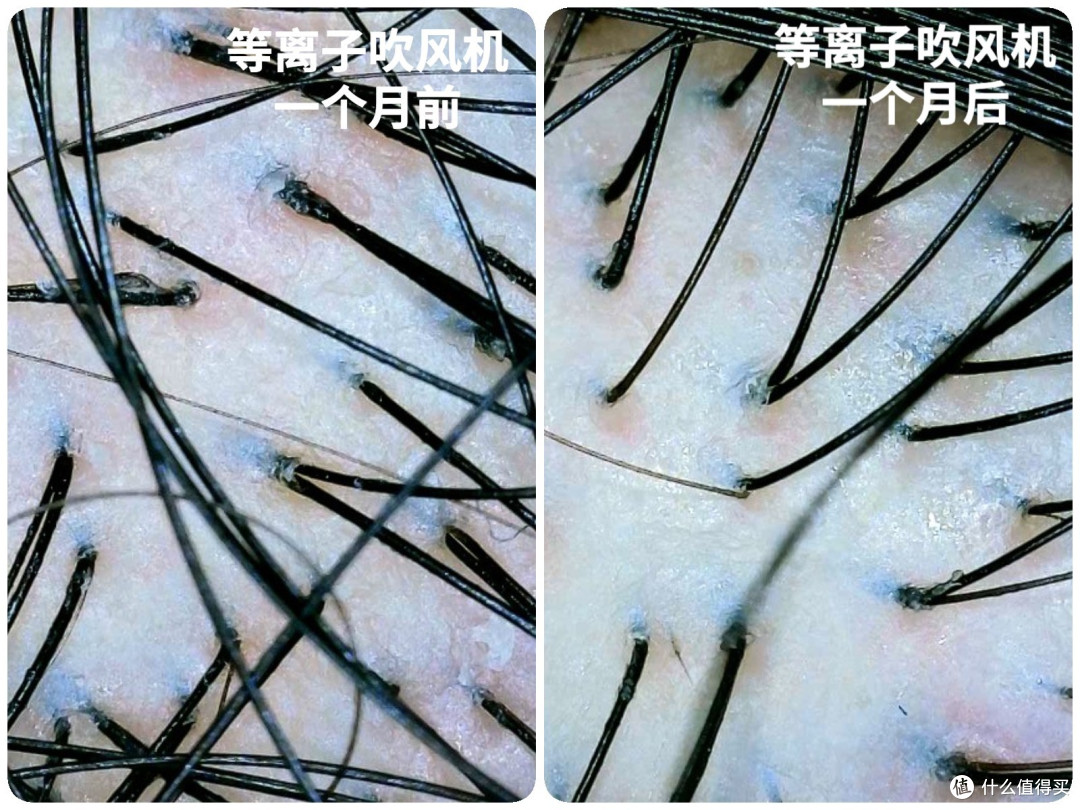 护发吹风机应该怎么选？等离子护发效果到底如何？四款国产热销护发吹风机横评，你想买的都在这里