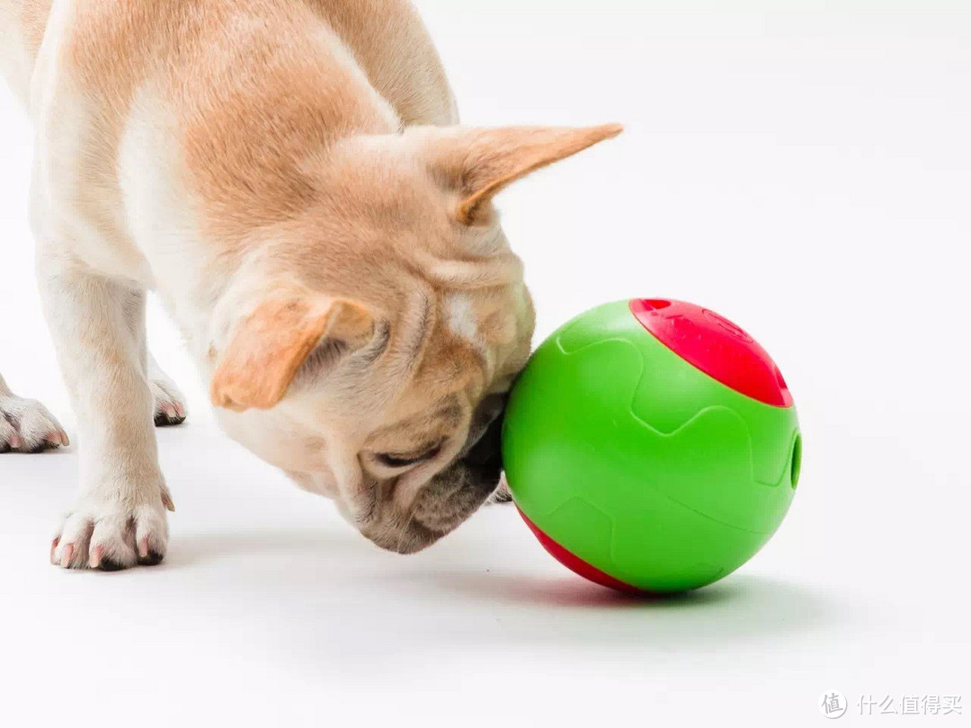 美国爱宠星Lchic智能食乐球狗狗玩具