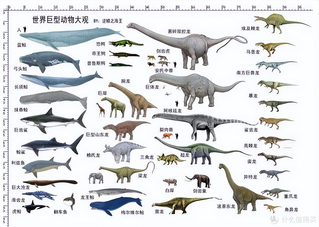 史前巨型动物为什么现在不存在了？