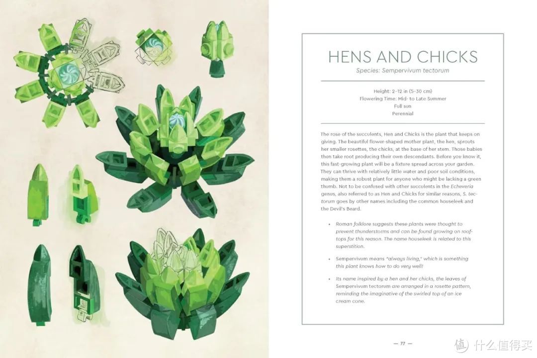 《乐高®植物年鉴》图书将于明年三月发行