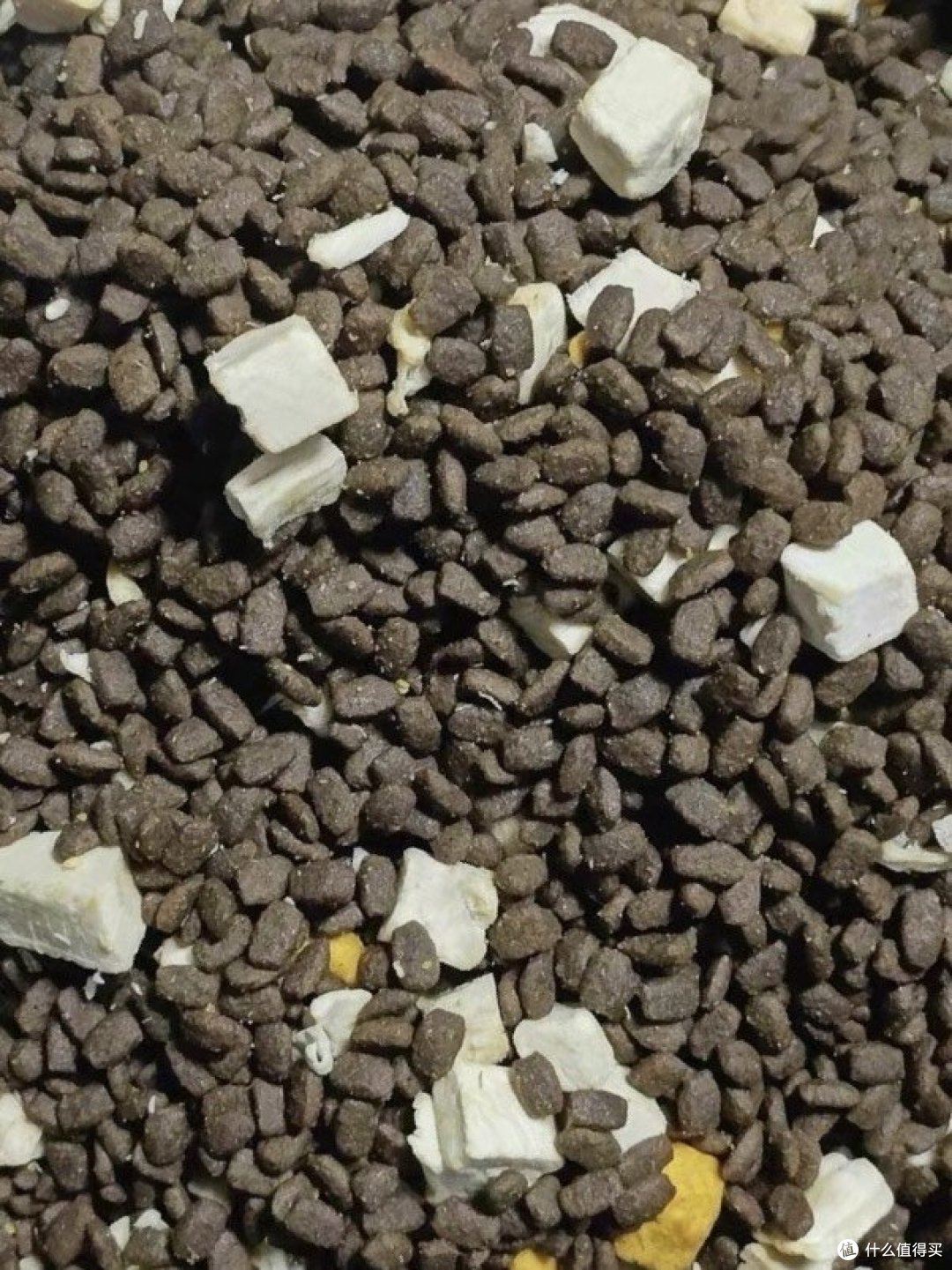 冻干狗粮，健康宠物的理想选择！