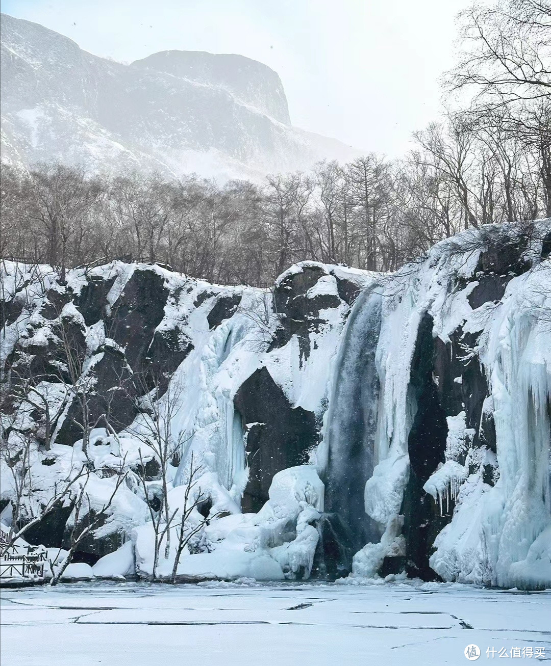 元旦去东北旅游丨3天就打卡长白山延吉雪岭