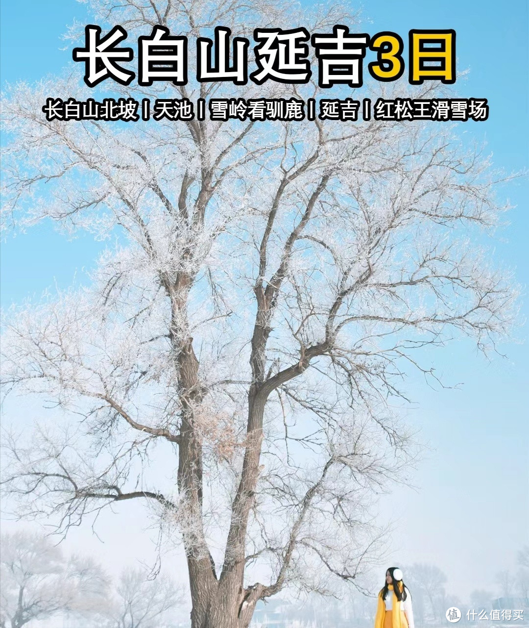 元旦去东北旅游丨3天就打卡长白山延吉雪岭