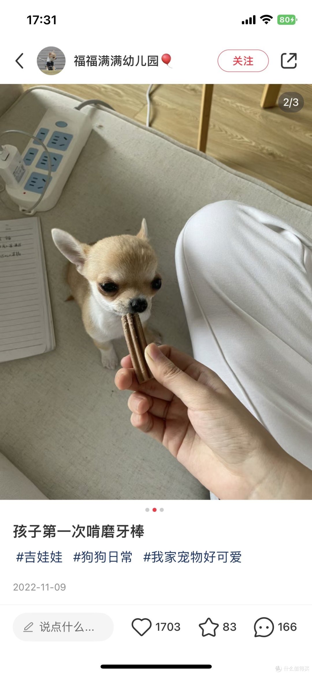 每月都要安排的狗狗洁牙棒