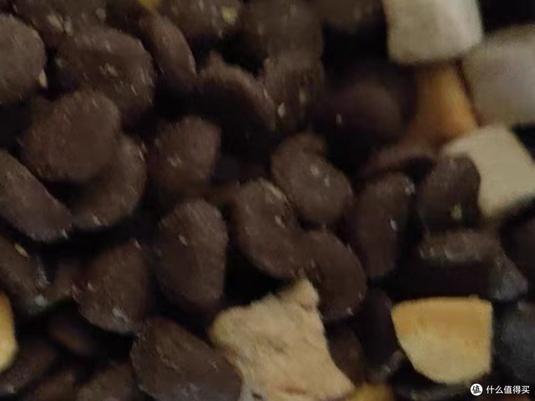 狗粮选择和营养需求:给狗狗健康的饮食建议