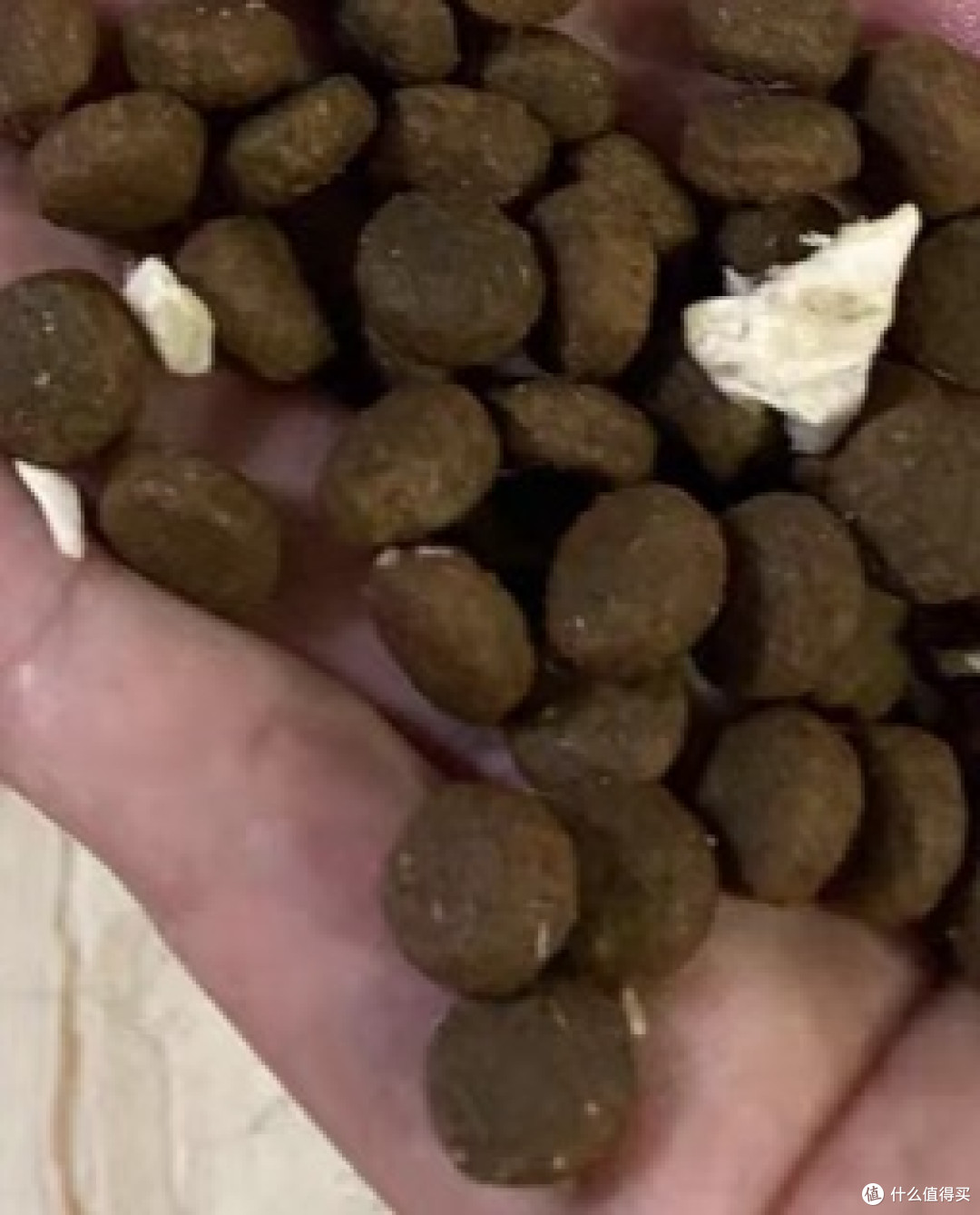 狗粮