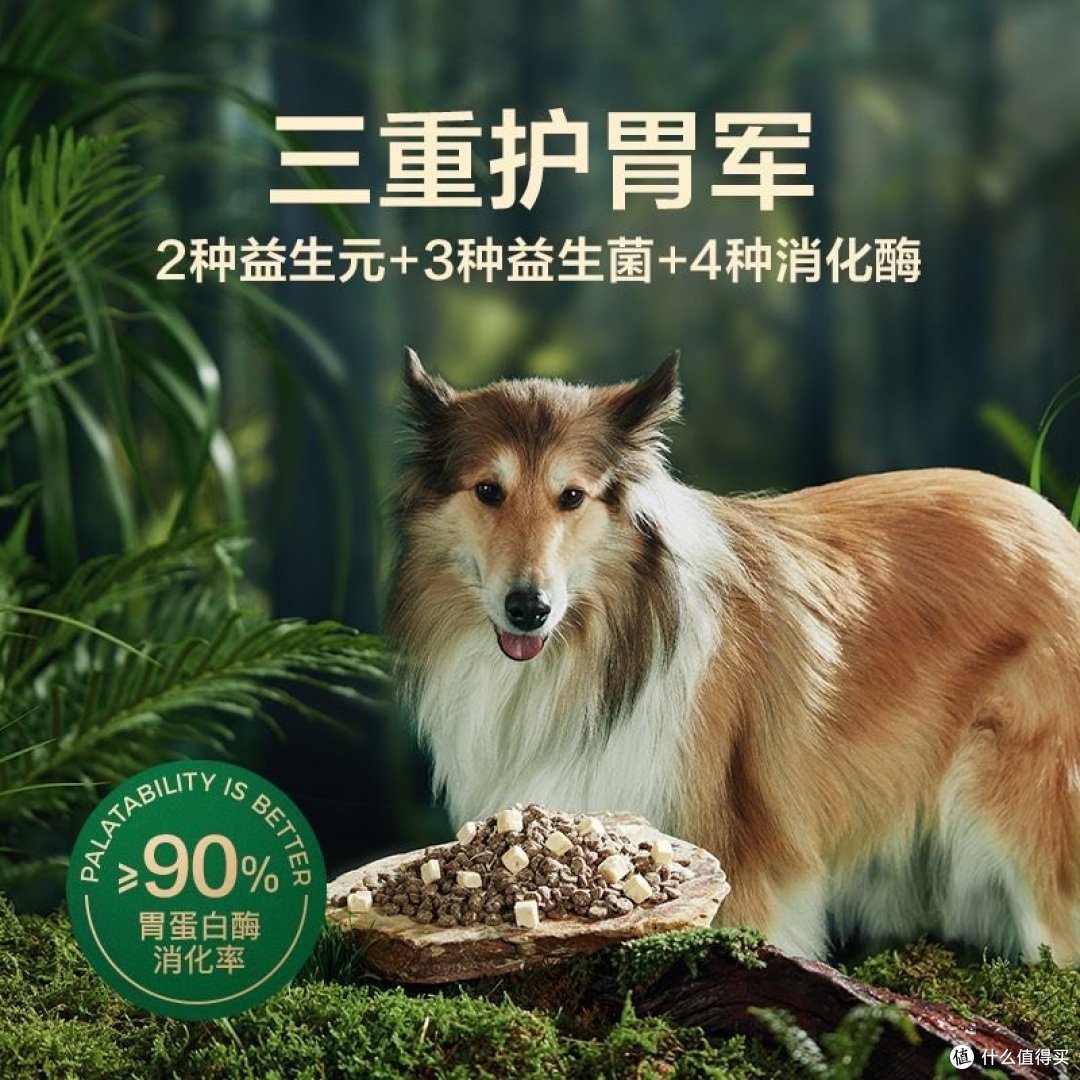 网易天成鲜肉冻干双拼犬粮：为爱犬提供营养盛宴