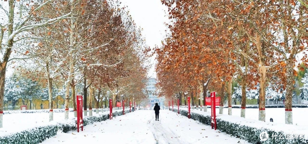 雪映检院！郑州首雪