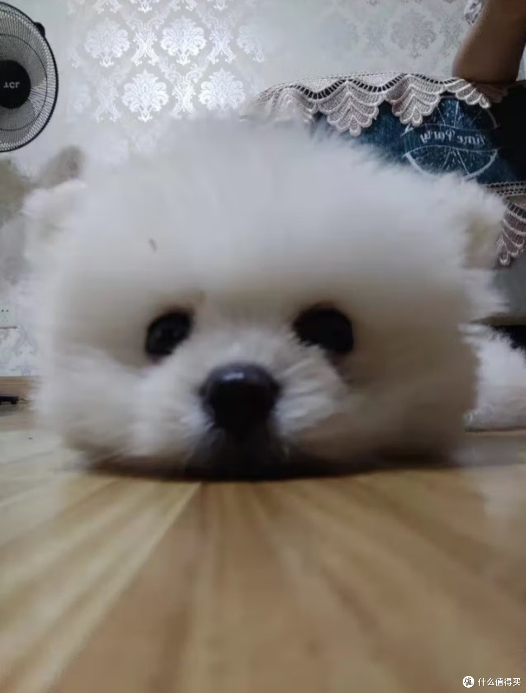 狗狗的又一笔消费~全价全阶粮