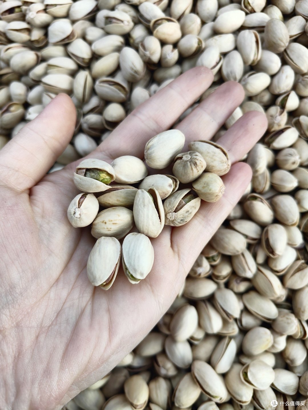 又到了吃干果的季节