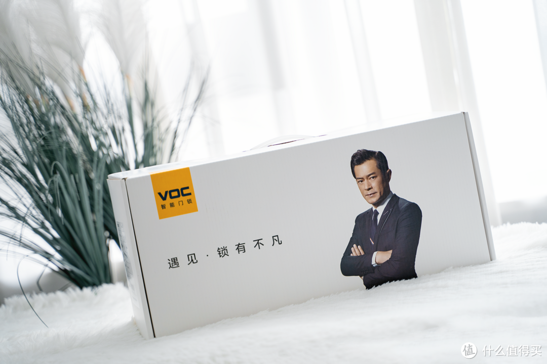 平价的指纹锁+可视门铃：VOC智能门锁T10 Plus+深度体验