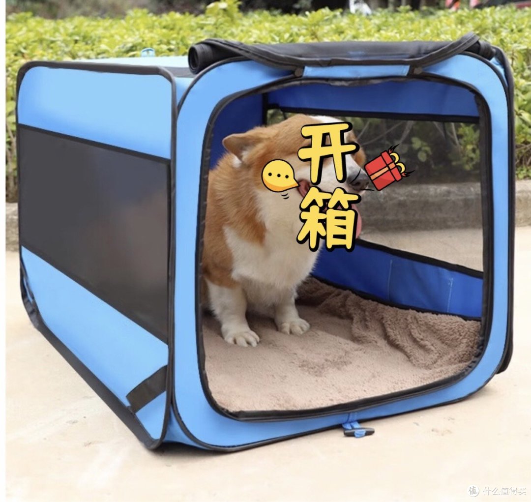 盘点3款适合狗狗用的狗窝,你家用的哪种?