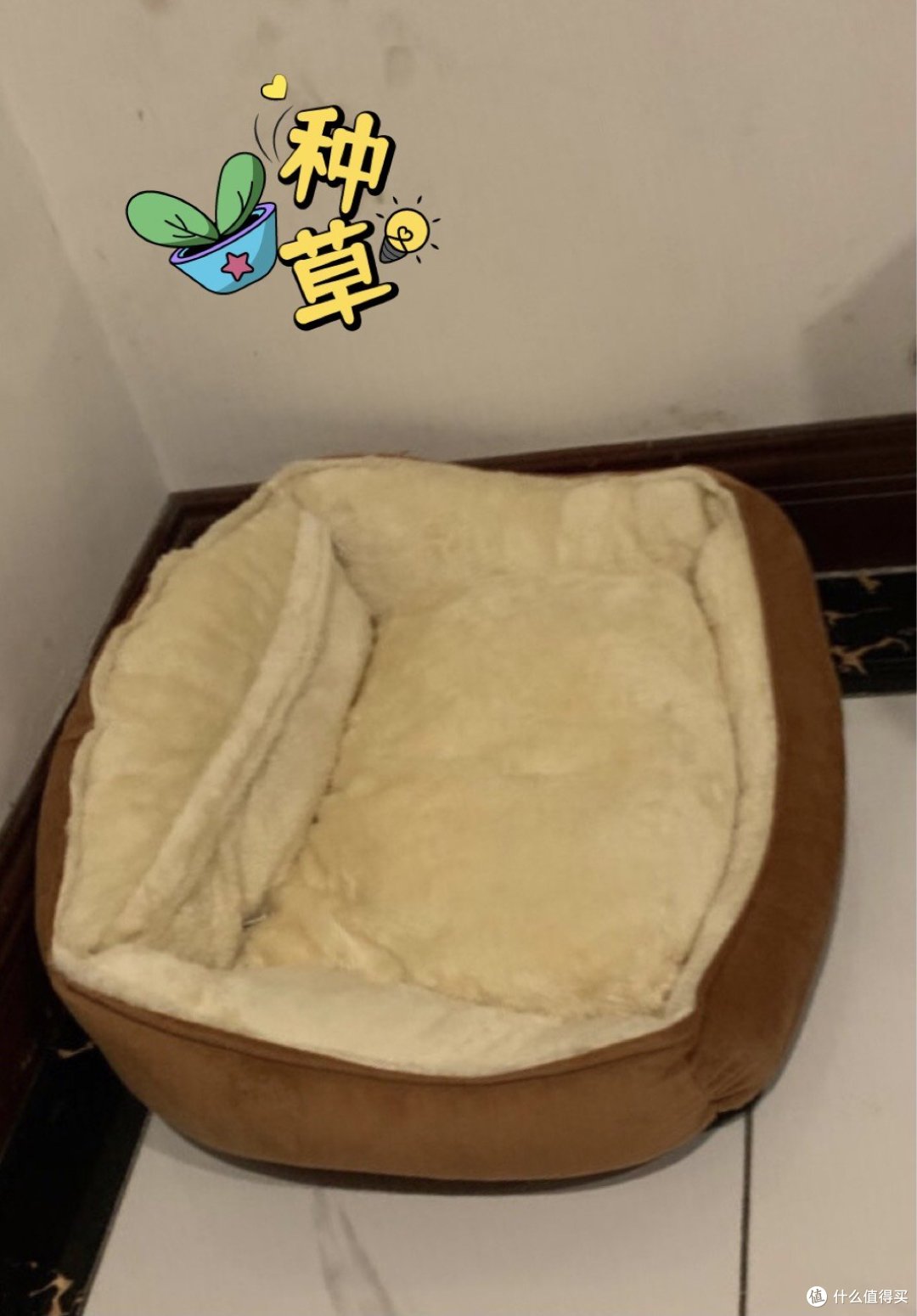 盘点3款适合狗狗用的狗窝,你家用的哪种?