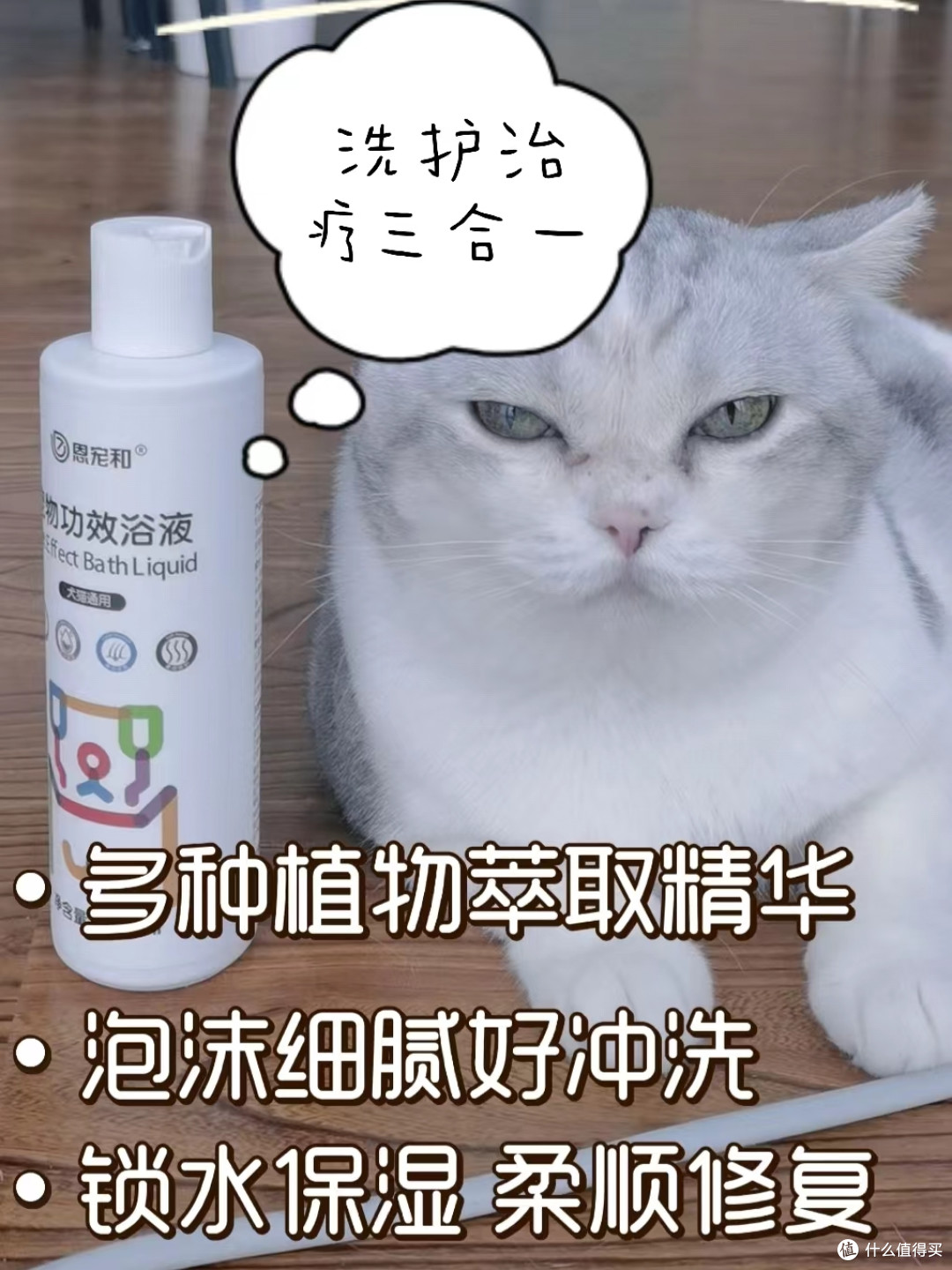毛孩子掉毛严重,这五招学会轻松搞定