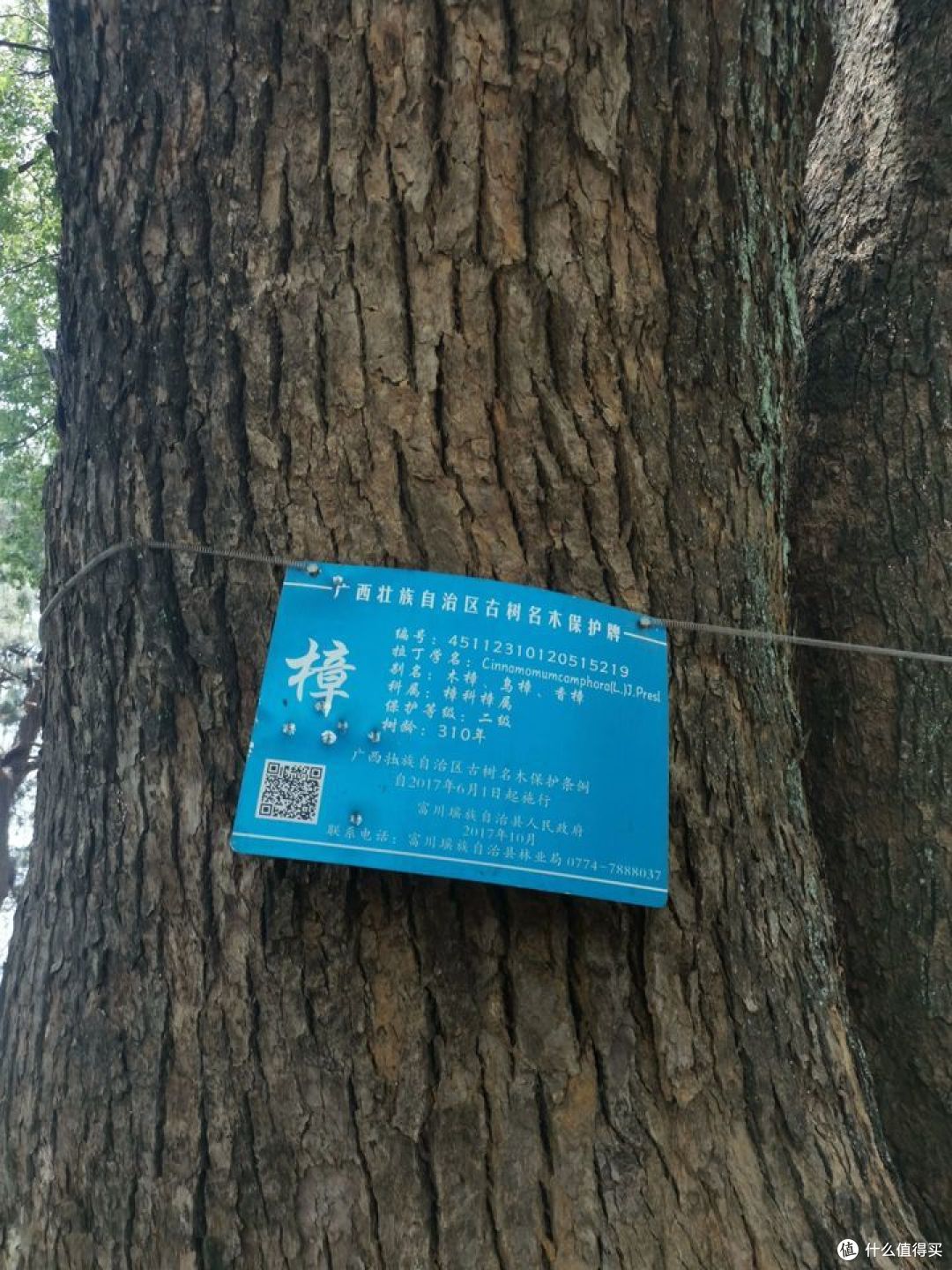 从广东闲逛到广西,再穿越到湖南的赶路之旅-3