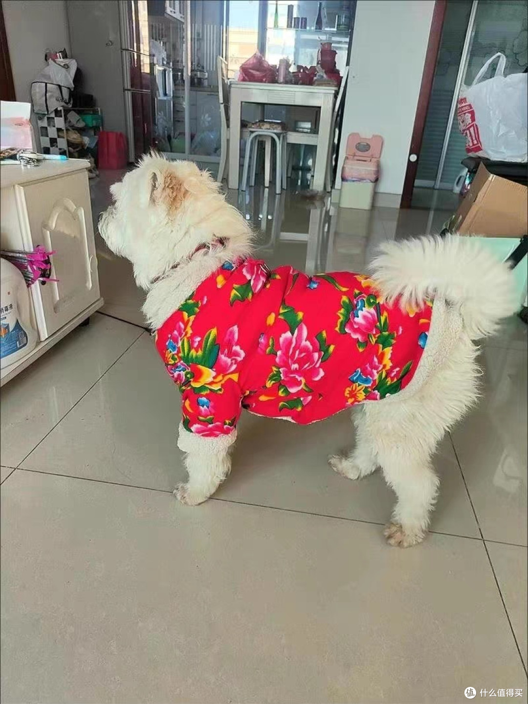 狗狗衣服