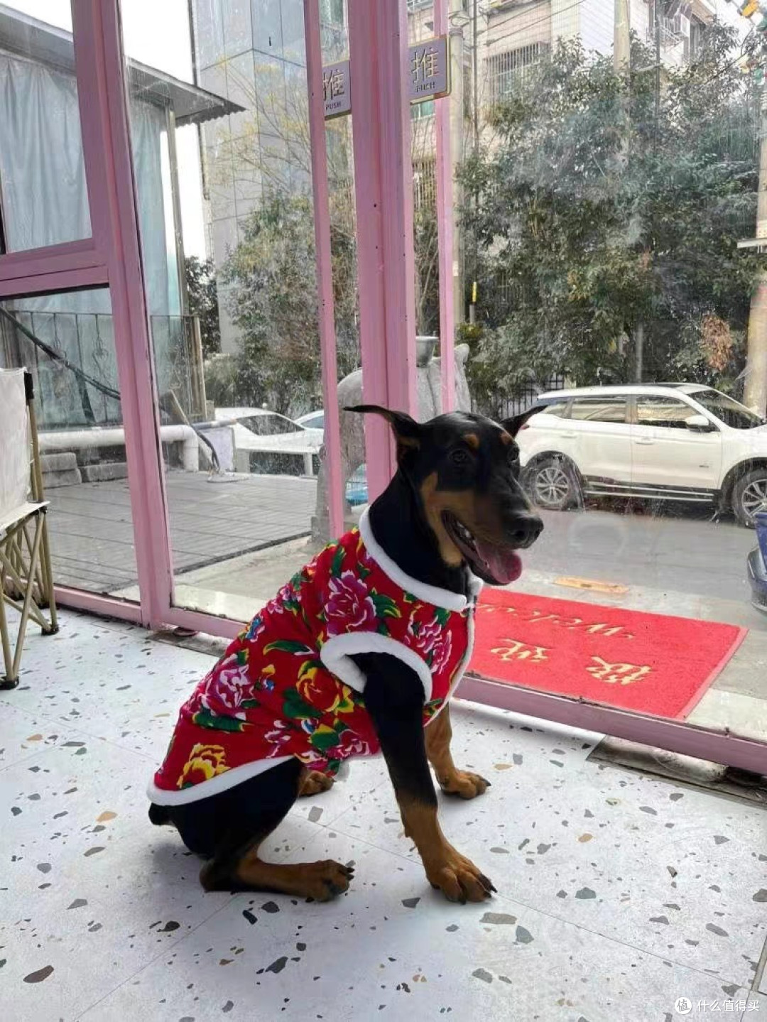 狗狗衣服